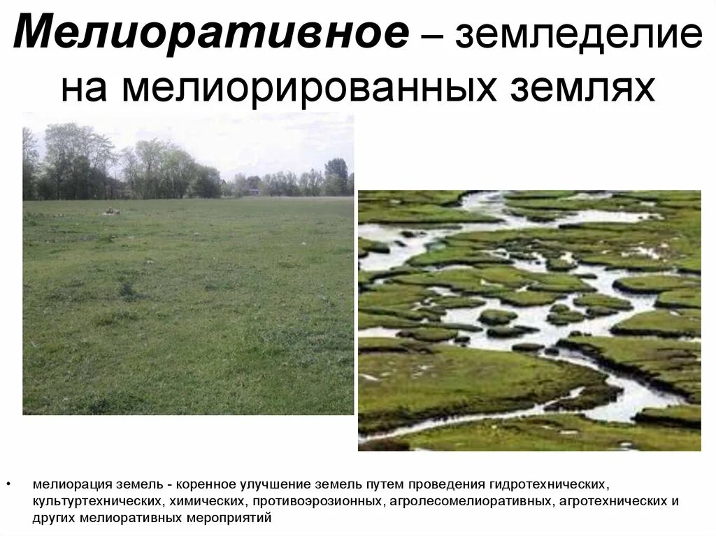 Коренное улучшение земель путем проведения гидротехнических. Мемюративное земледелие. мелиоративное земледелие. коренное улучшение земель это. мелиоративное улучшение земель.