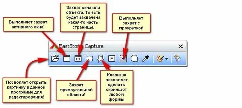 Область экрана выделенная программе