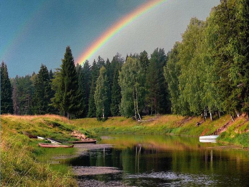 Радужный лес. Река и радуга. красота русской природы радуга. река радуга солнце. радуга в лесу.
