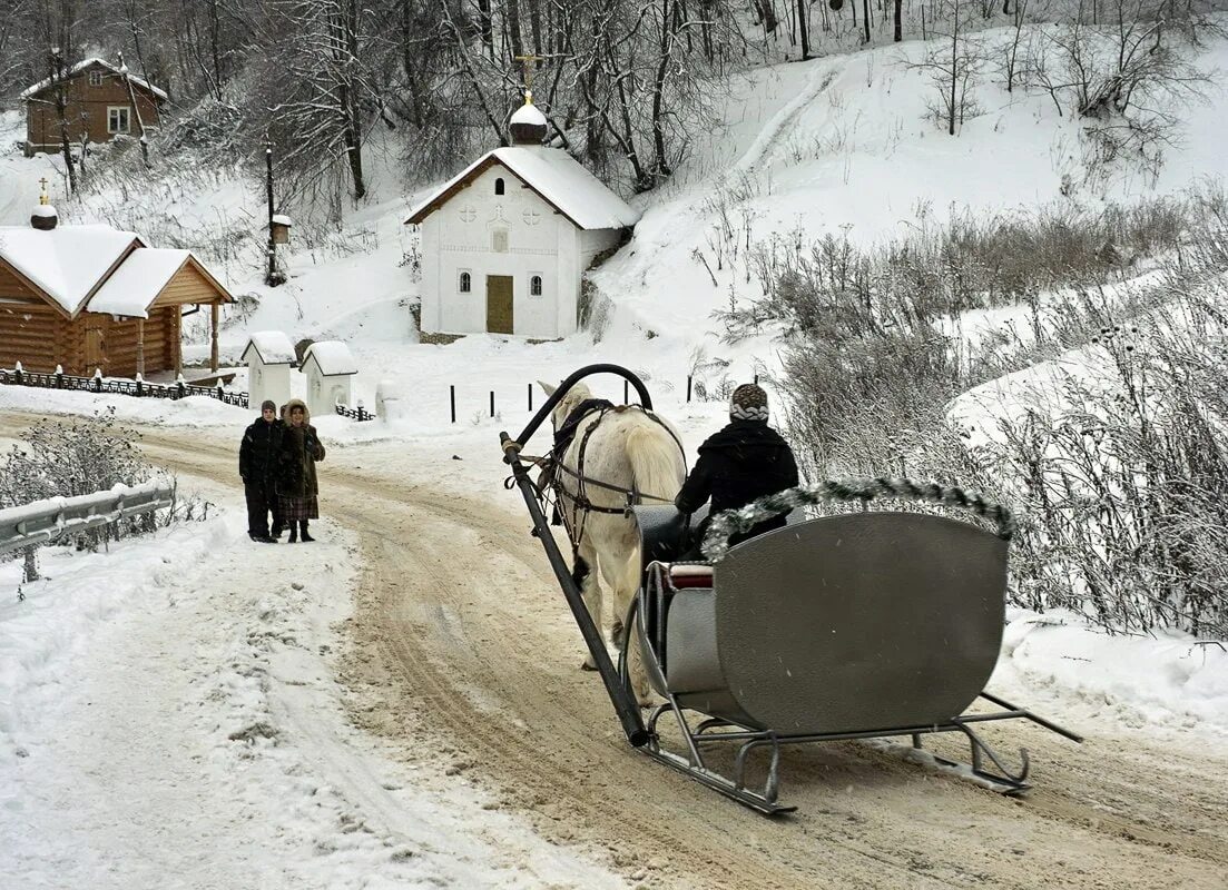 Прогноз тарусе