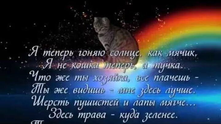 Стихи на смерть кота. Стихи умершей кошке. Стих про кота. Стихи о котах ушедших на радугу. Стихотворение про кошку.