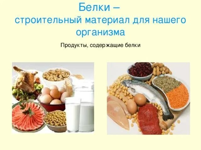 Пищу белки составляют. Белки продукты. Белок в продуктах. Белки в продуктах питания. Продукты содержащие белок.