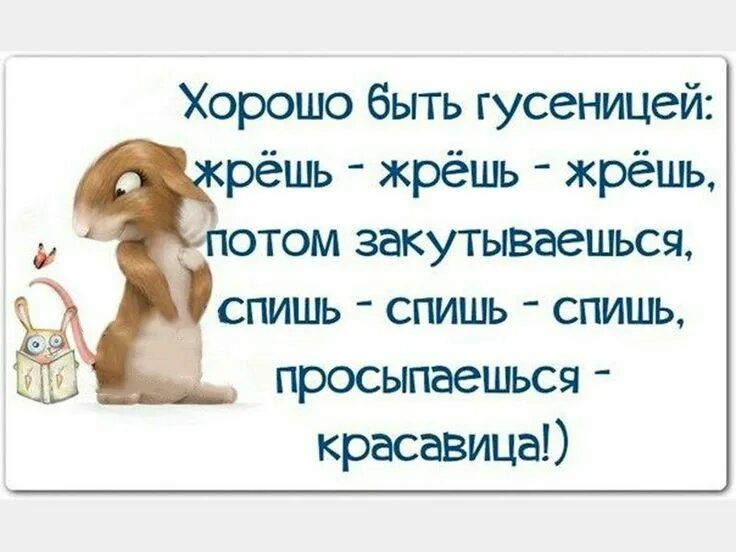 Смешные написанные фразы. Смешные цитаты. прикольные высказывания. веселые цитаты. смешные цитаты и афоризмы.