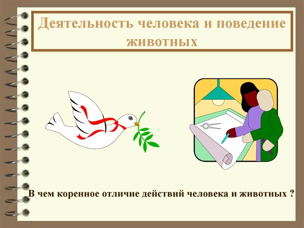 Отличие деятельности человека от деятельности животных. Деятельность человека и поведение животных. у человека деятельность а у животных. труд человека и животных. сущность человеческой деятельности.
