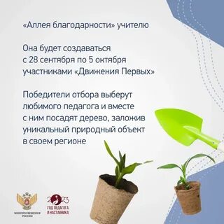 Акция благодарю движение первых