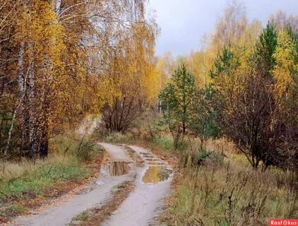 Осень 2