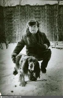 Собака 1970