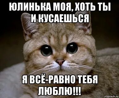 Хоть ты меня понимаешь