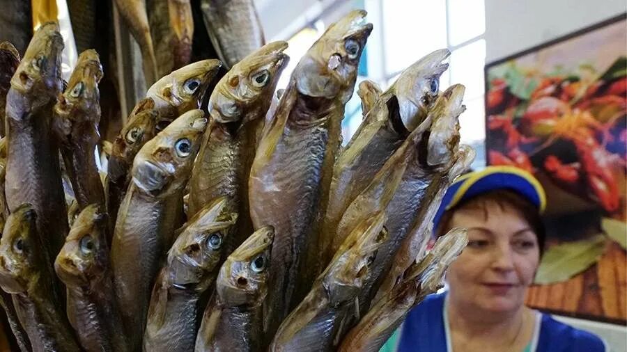 Производители вяленой рыбы. Вяление рыбы на производстве. Густера рыба сушеная. Вяленая рыба на веревке. Производители вяленой рыбы.