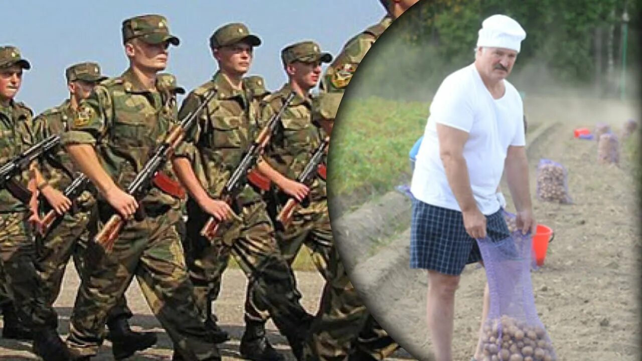 Лукашенко вводит войска. Лукашенко вводит войска