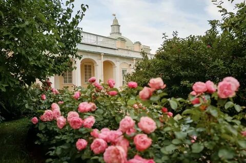 Экскурсия в ораниенбаум из санкт петербурга