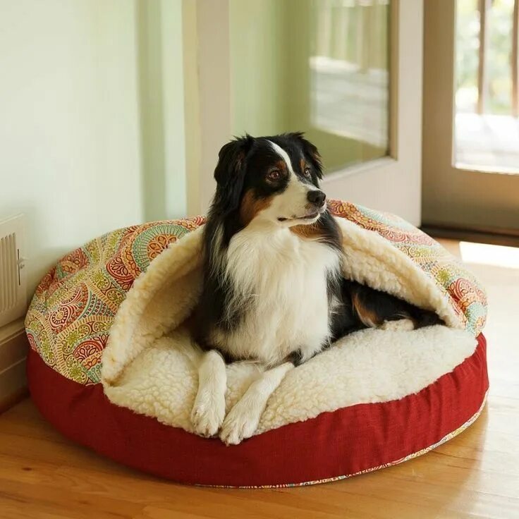 Лежанка pets. Лежак Luxury cozy Dog. Лежак для собак cozy Dog Cave. Cozy Bed лежанка. Pet Bed лежанка для собак.