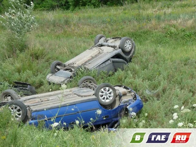 Погода в гае оренбургской на 10 дней