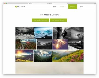 Nextgen gallery