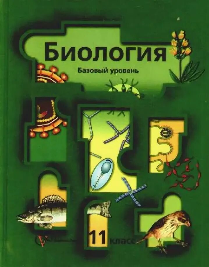 Книга по биологии 11 класс базовый уровень Пономарева. Биология 11 класс Пономарева Корнилова Лощилина базовый уровень. Пономарева и. н. биология. 10 Кл. : Базовый уровень. Биология 11 класс и н Пономарева о а Корнилова т е Лощилина.