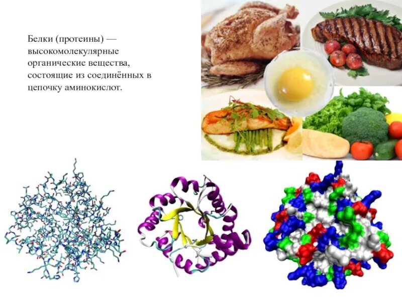 Белки органические вещества