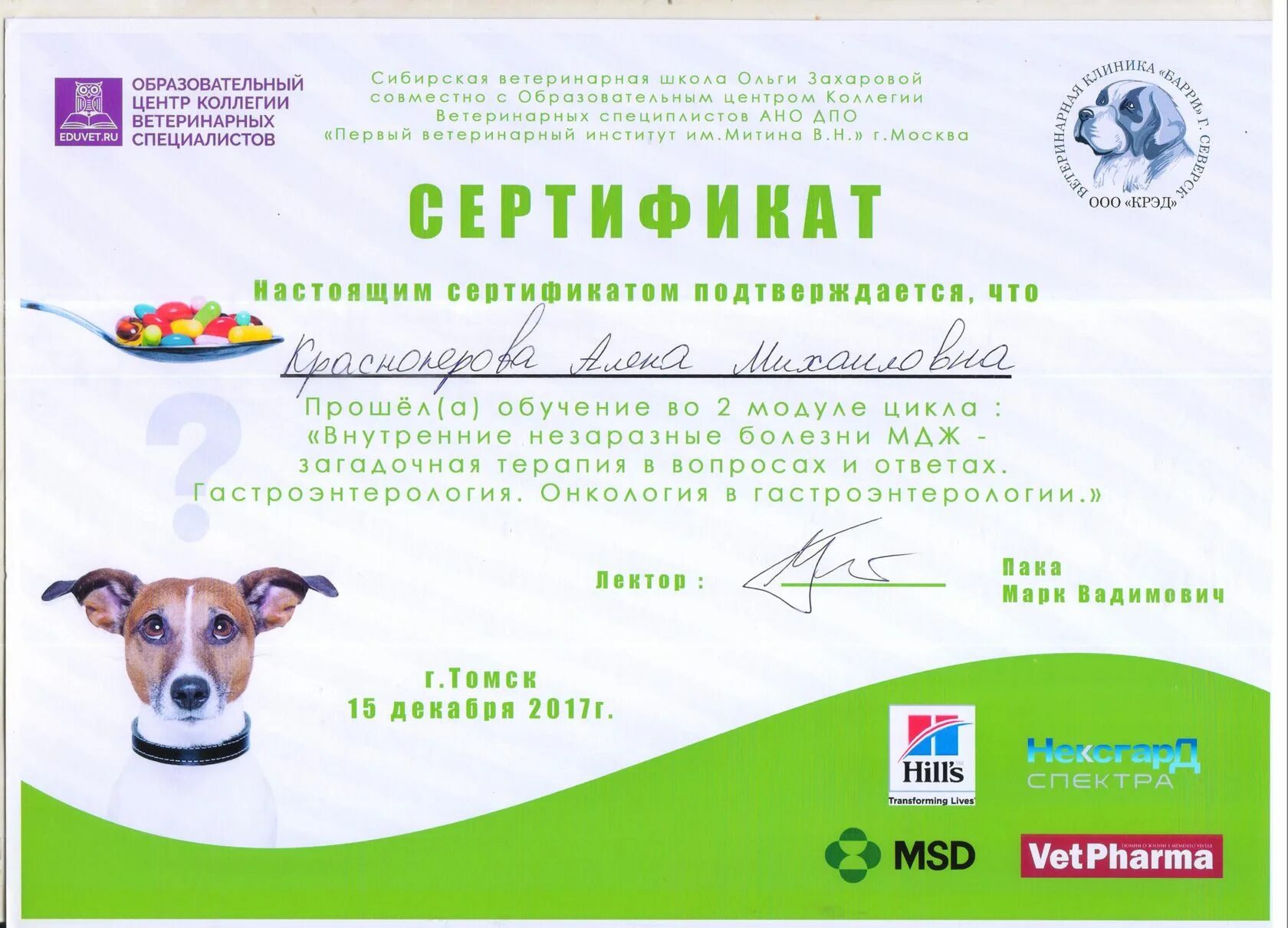Рыбинская ветеринарная. Рыбинская ветеринарная
