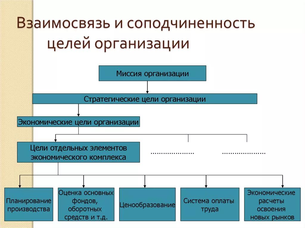 Организация ее цели и структура. Структура целей организации ее миссия. Структура целей фирмы ее миссия. Цели организации. Взаимосвязь целей.. Структура цели.