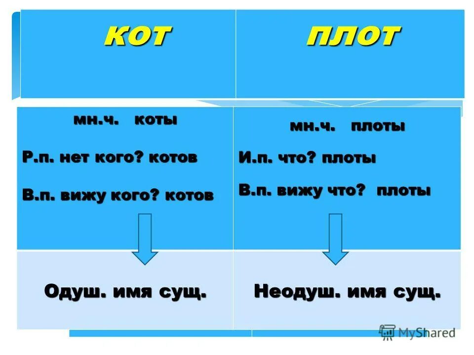 Слово ответ это существительное. Порядок составления синквейна. Имя существительное как часть речи. Слово ответ это существительное. Определение существительного как части речи 5 класс.