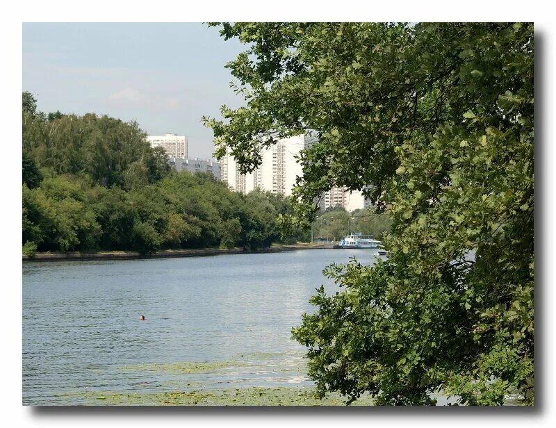 Серебряный бор пляж. Серебряный бор лето москва. Серебряный бор москва река. Пляж москва памятник природы серебряный бор отзывы. Пляж москва памятник природы серебряный бор отзывы.