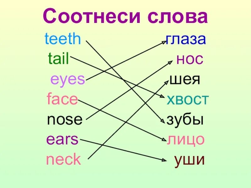 Нос перевести на английский. Слова про глаза на английском. Зуб транскрипция на английском. Слова по английскому языку Ey. Соотнеси слова.