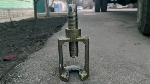 Палец газель