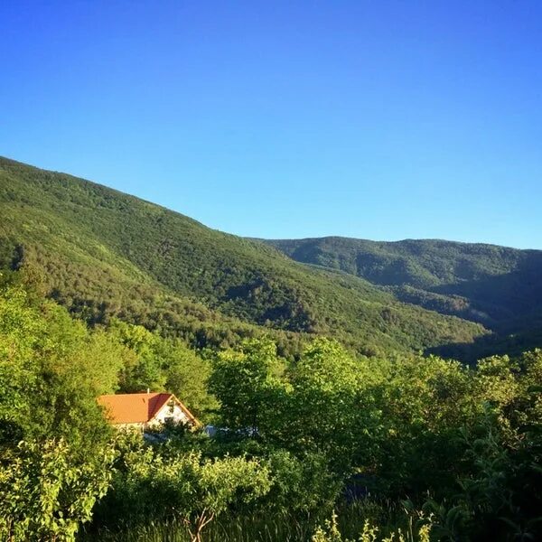 Село Многоречье Бахчисарайский район. Крымские Альпы Многоречье. Многоречье Бахчисарайский Затерянный мир. Лесной кордон Многоречье Крым.