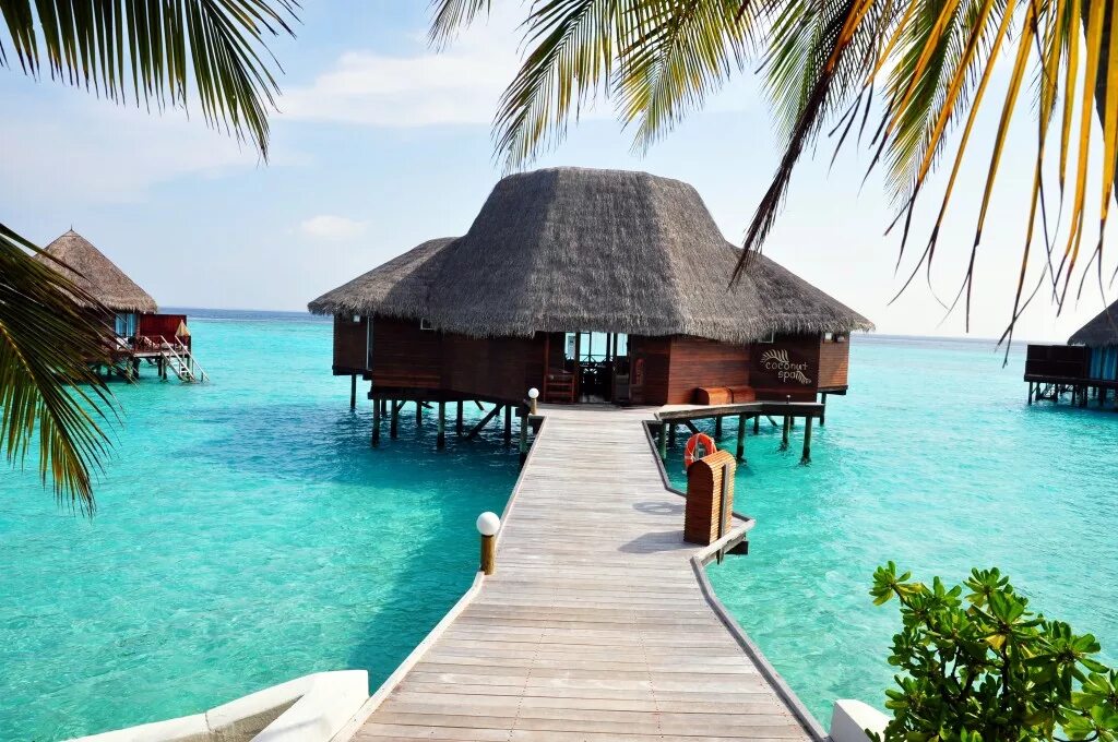 Thulhagiri island. Тулагири Мальдивы. Тулагири Айленд Резорт Мальдивы. Thulhagiri Island Resort Spa 4. Мальдивы Южный Мале.