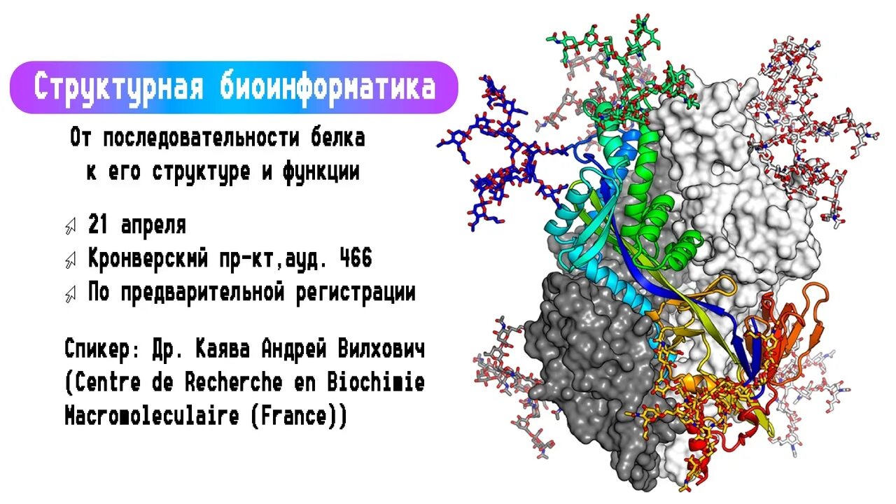 Генетика биоинформатика. Структурная биоинформатика. биоинформатика белков. биоинформатика последовательностей. направления биоинформатики.