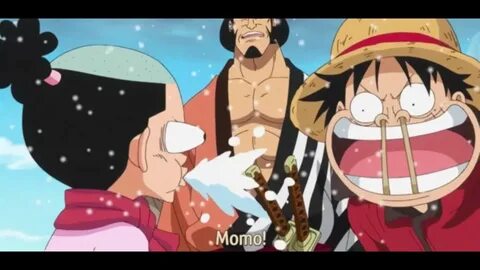 One piece momonosuke