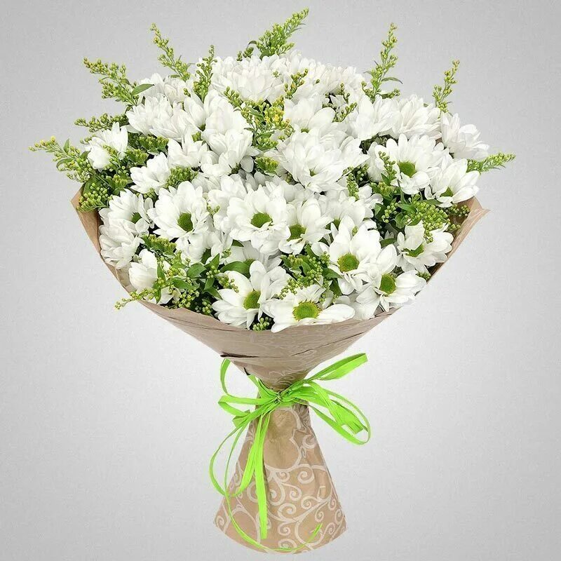 51 кустовая хризантема букет. Хризантема кустовая белая. Хризантемы белые кустовые букет. 11 белых кустовых хризантем в букете. Букет из белых кустовых хризантем.
