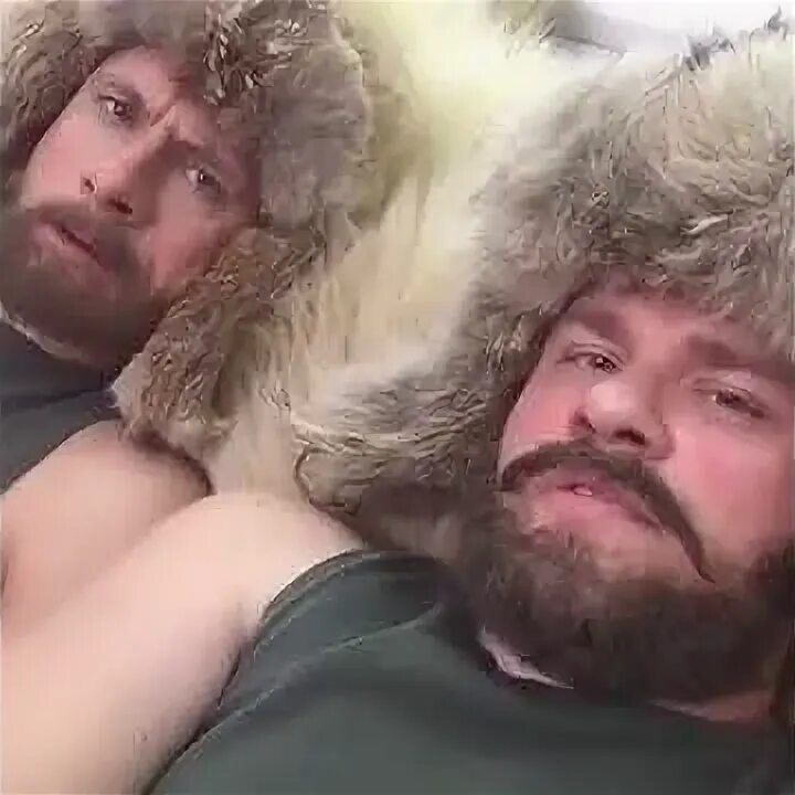 Хб арктика ошибок
