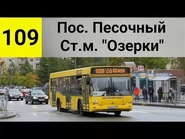 Автобус 109 маршрут остановки. Расписание 109 автобуса метро Озерки. Автобус 109 от метро Озерки до песочного. Автобус 109 расписание Озерки песочный. Автобус 109 от метро Озерки.