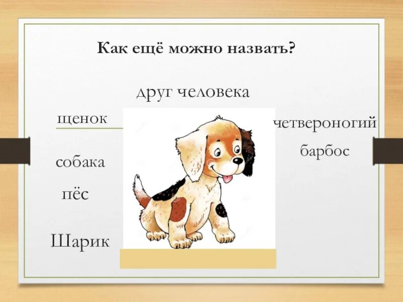 Прочитайте слова dog. Как зовут собак. Как назвать собаку обозвать. Назвать как можно назвать собачонка.