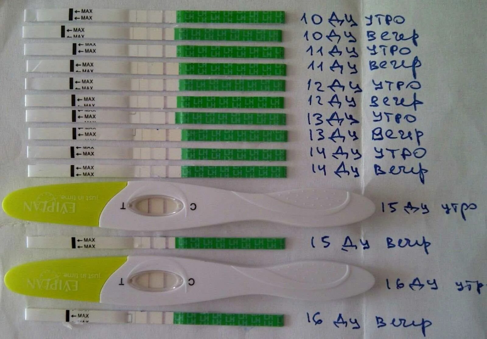 Тест полоски для электронного теста на овуляцию. Тестовая полоска на овуляцию. Тест на овуляцию тест. Овуляция на тестах. Тест на овуляцию 2 дня