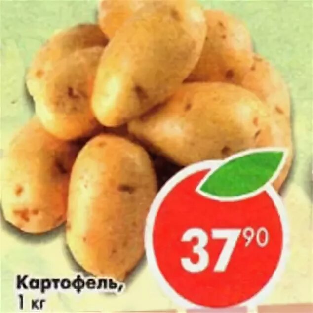 Магазин пятерочка картофель. Картофель в пятерочке. килограмма пятерочка картошка. пятерочка молодой картофель. магазин пятерочка картошка.