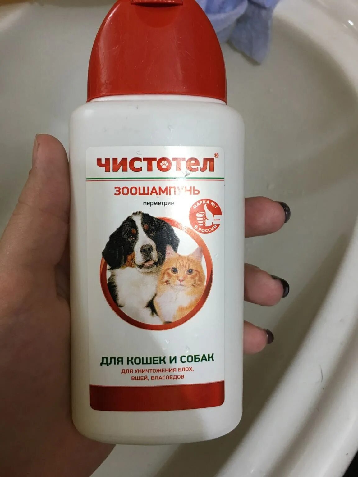 Шампунь от блох для кошек какой лучше. Шампунь для собак. шампунь от блох для кошек и собак. собачий шампунь от блох. шампунь от блох для щенков.