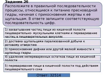 Порядок процессов вызывающих