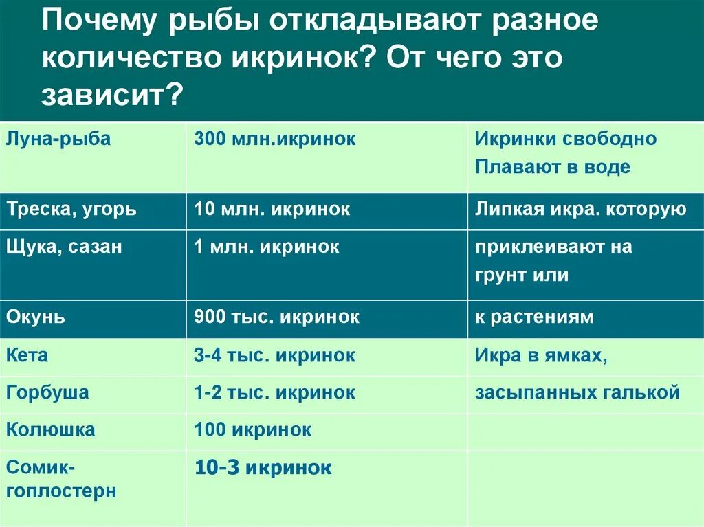 Почему рыбы откладывают Разное количество икринок. Количество икринок у разных рыб. Сколько икринок откладывает рыба таблица. Количество икры у разных рыб таблица.