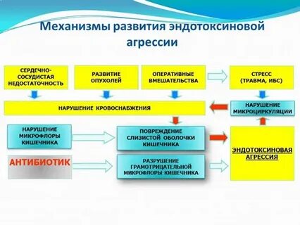 Механизм агрессии