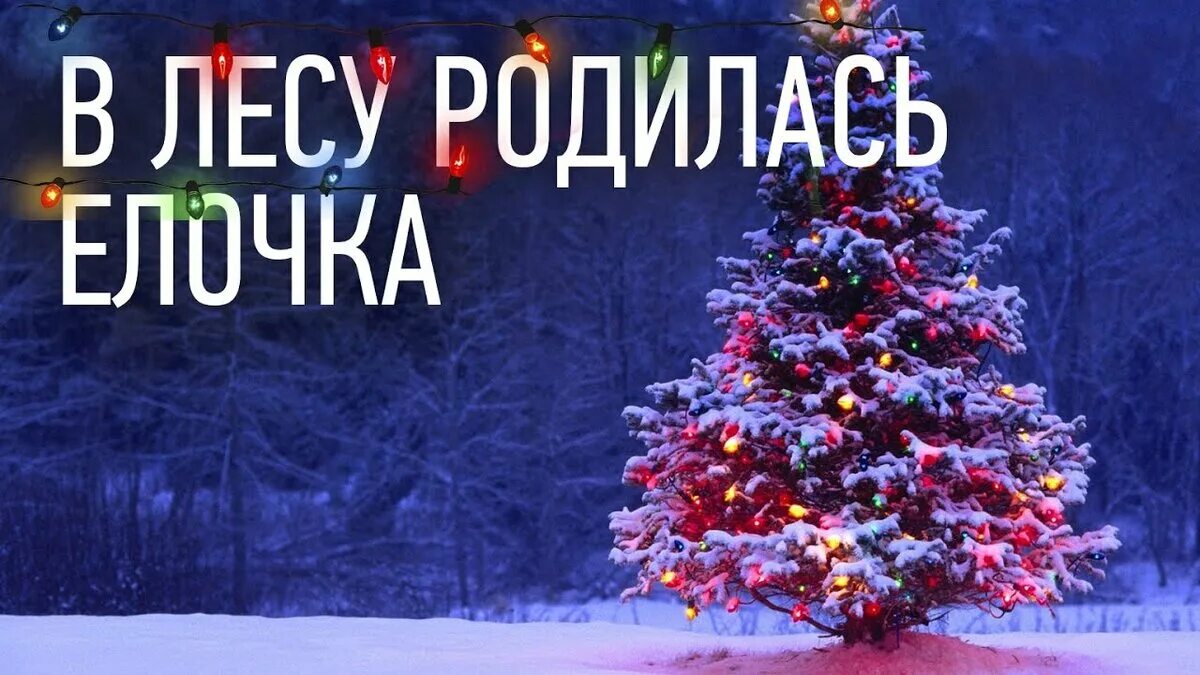 В лесу родилась ёлочка. В лесу продиласьелочка. В лесу радилос. Gв лесу родилась елочка.