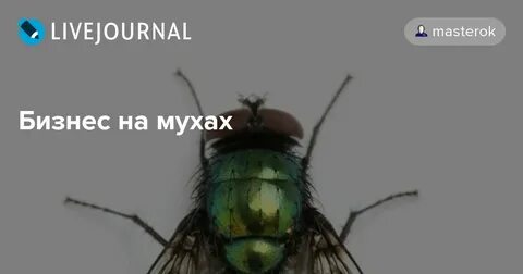 Почему муха не падает с потолка