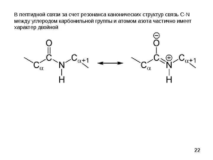 Резонансные структуры пептидной связи. Резонанс структура пептидной связи. Химическая природа пептидной связи. Пептидная связь. Пептидная группа атомов