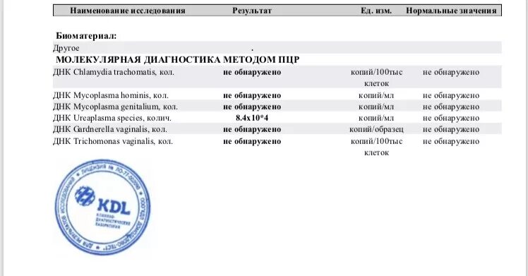 ПЦР уреаплазма уреалитикум норма. ПЦР исследование мазка уреаплазма. Расшифровка анализов ДНК уреаплазма. Днк gardnerella vaginalis что это