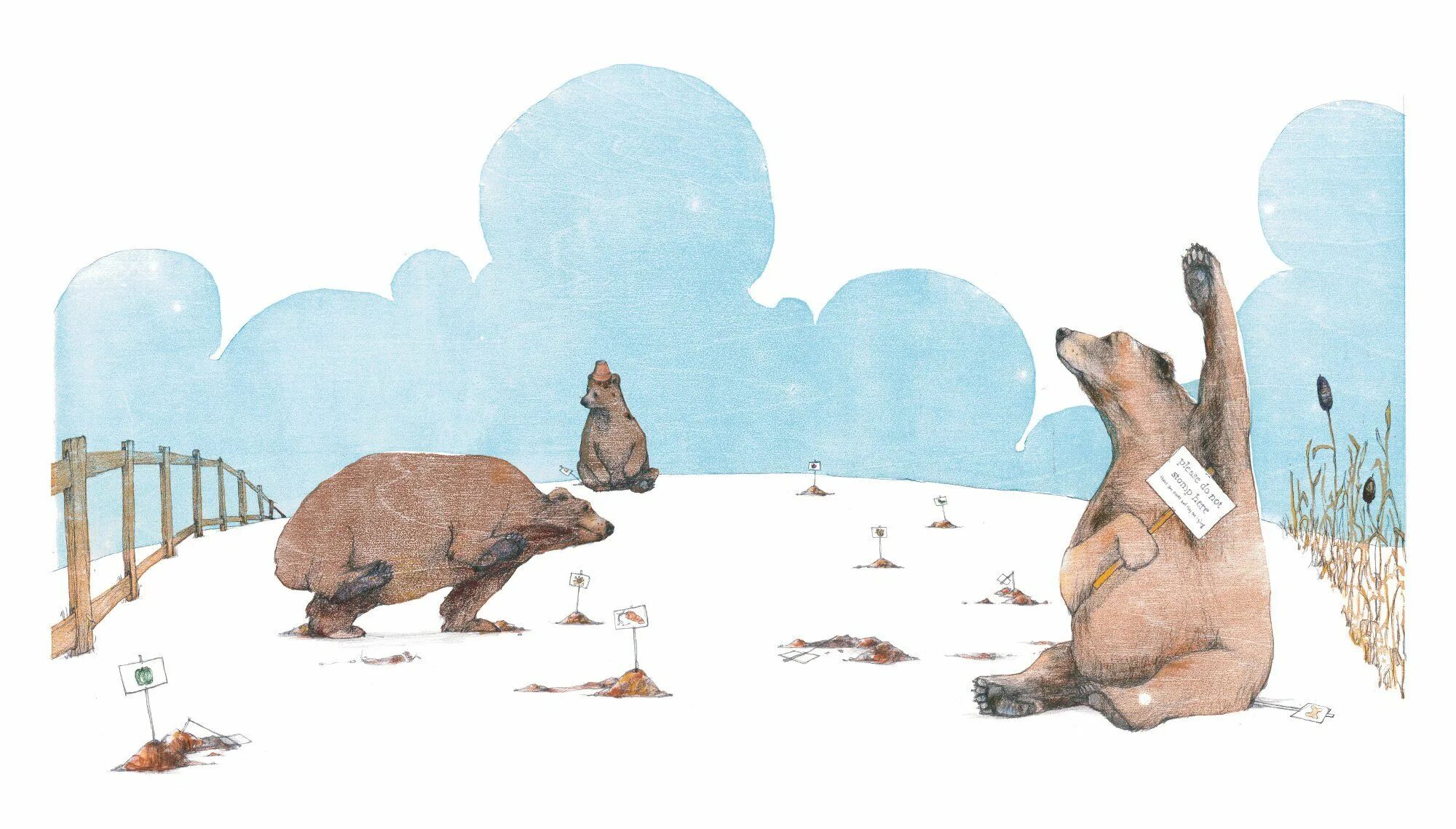 Tell bear. Bears in the beach illustrations.