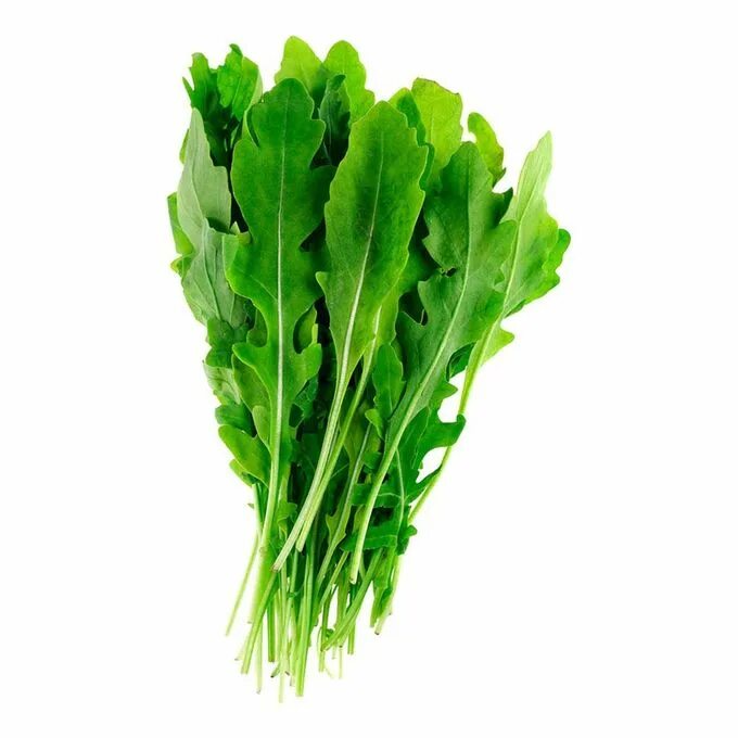 Кирсалат зелень азербайджан. Щавель шпинатный. Котем зелень. Кресс салат котем. Котем армянская зелень.