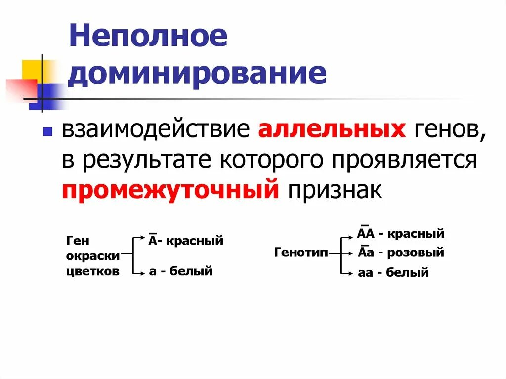 Взаимодействие аллельных генов. Неполное доминирование это взаимодействие аллельных. Взаимодействие аллельных генов полное доминирование. Взаимодействие генов неполное доминирование. Промежуточное проявление признака неполное доминирование