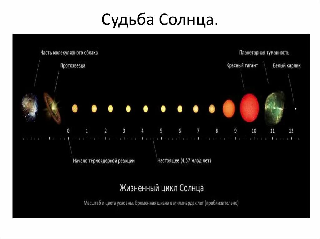 Во сколько раз отличаются светимости двух звезд. Судьба солнца. Классификация звёзд по светимости. Классификация звёзд по размеру. Какова судьба солнца в будущем?.