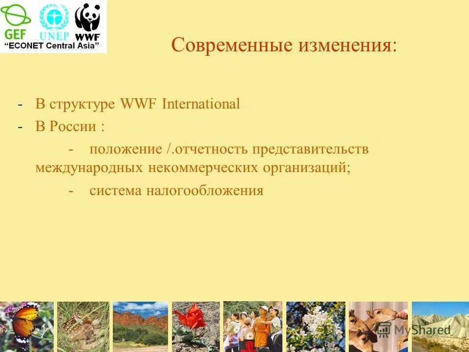 Большая азиатская программа. Азия программа. Азия программа. Миннесотского многофазного личностного опросника. Большая азиатская программа николая 2.