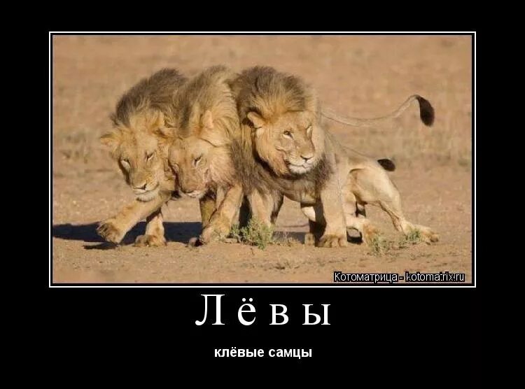 вдруг сообразить